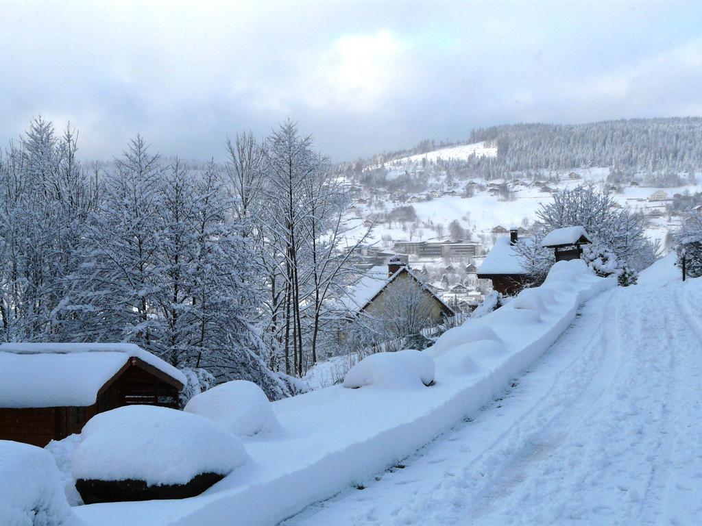 Chalet Les Sapins Argentes Жерарме Номер фото
