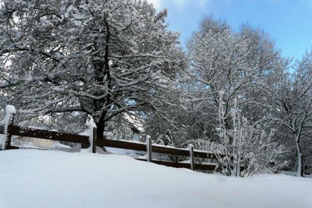 Chalet Les Sapins Argentes Жерарме Екстер'єр фото